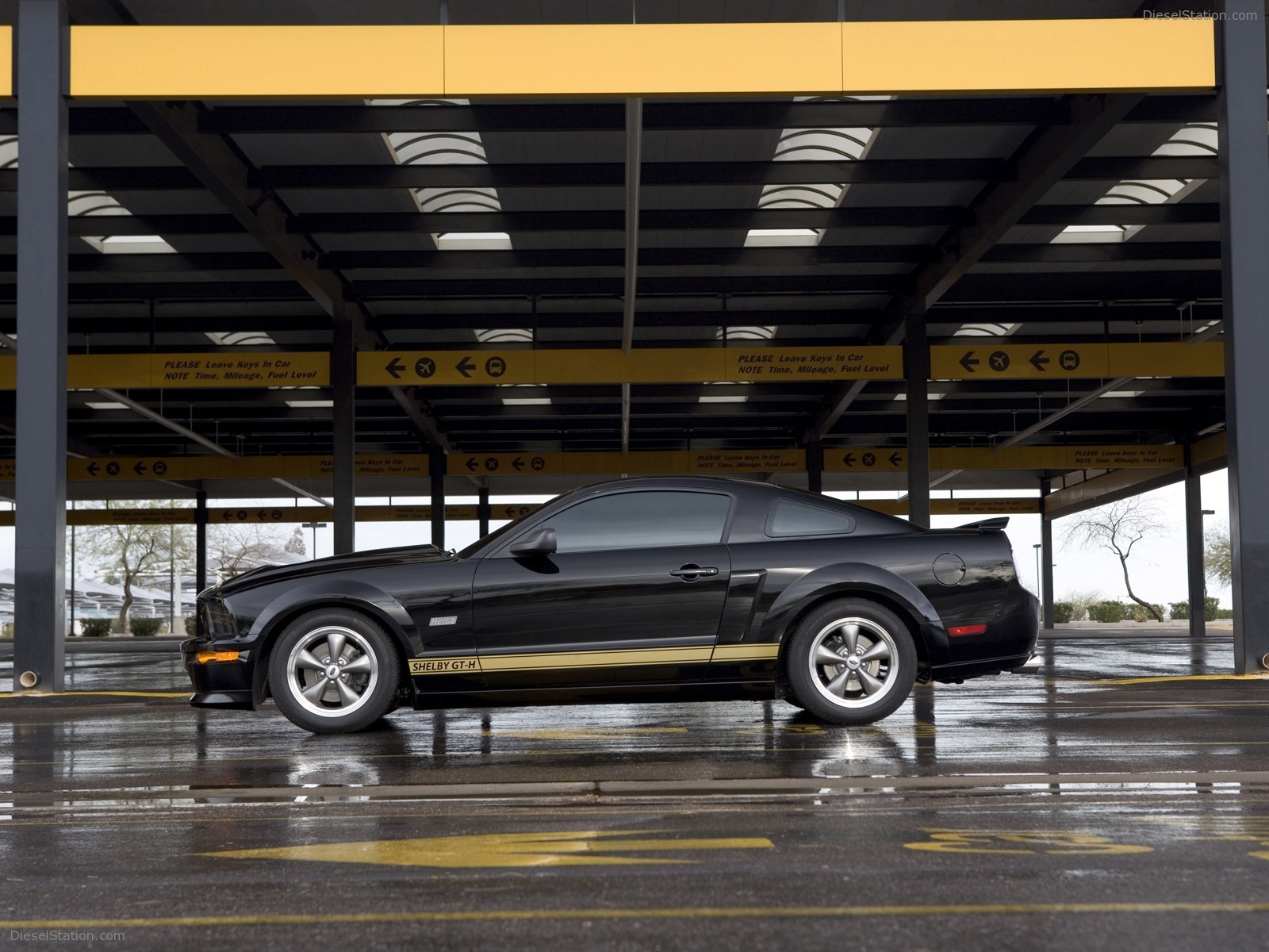 Ford Shelby GT-H